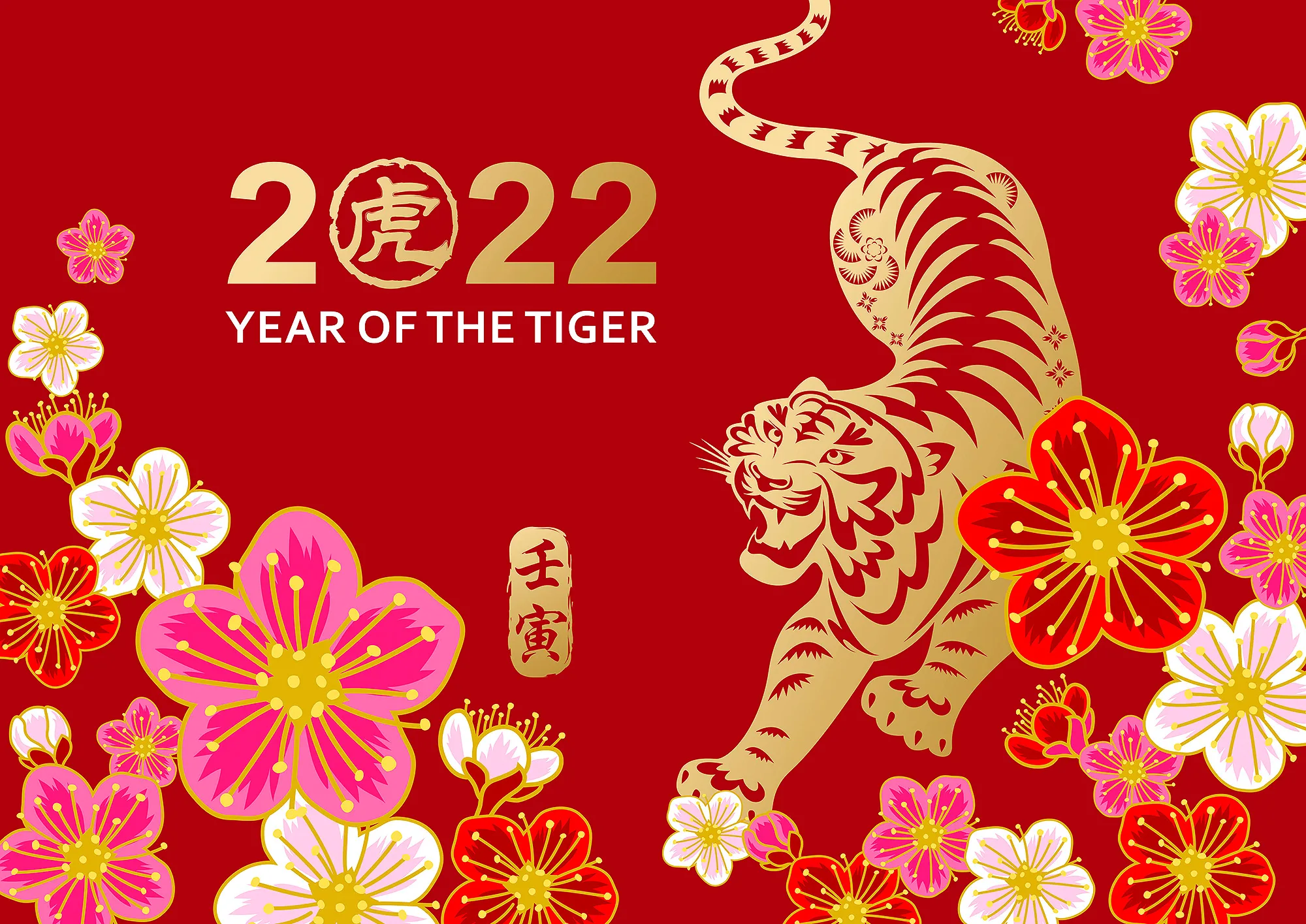 Year of the Tiger Chinese New Year illustration